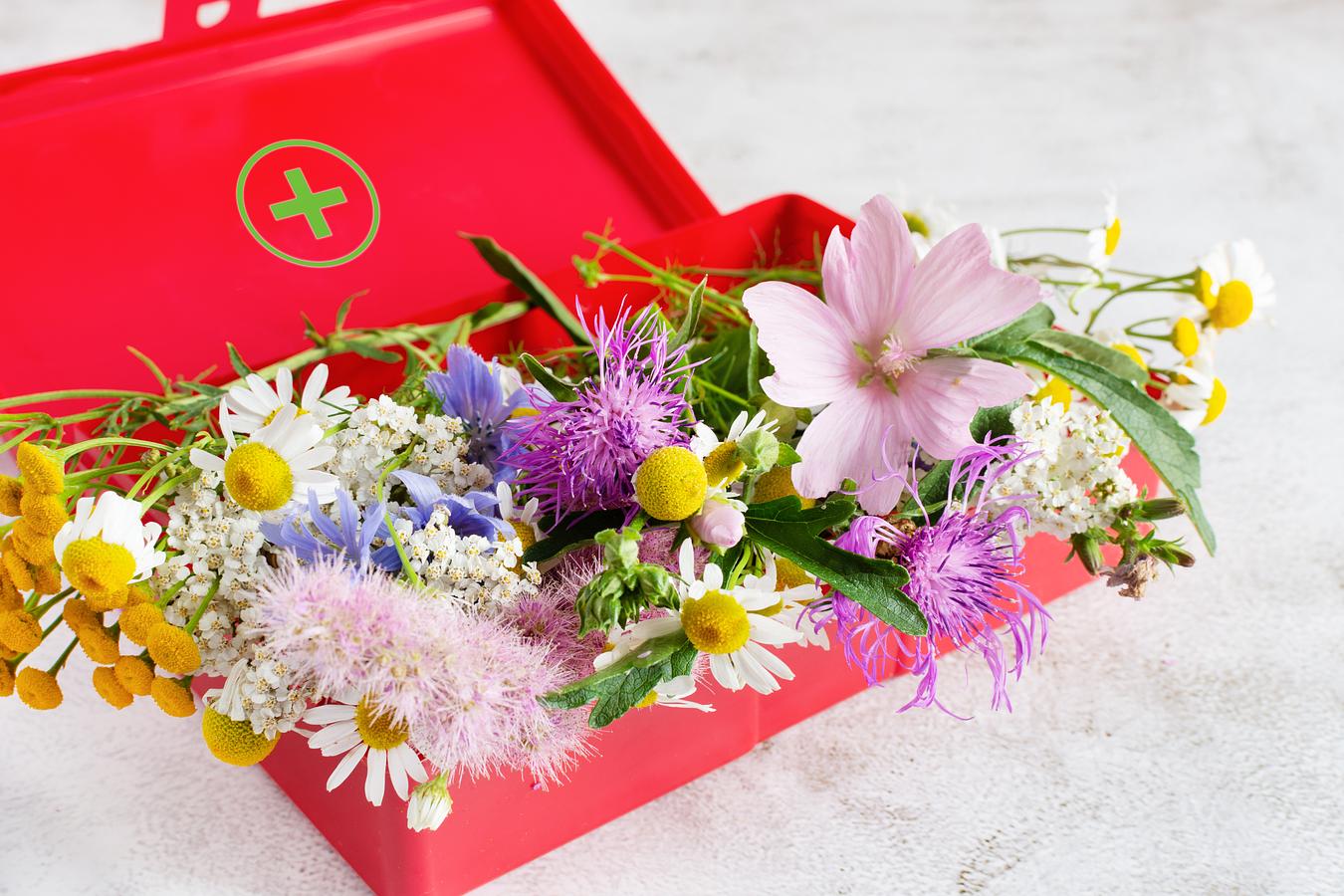 Integratori Naturali Antistress: Benefici Reali E Falsi Miti