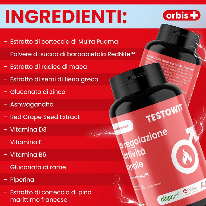 ✨ ENERGIA & FOCUS: Il Bundle Perfetto! ⚡🧠
